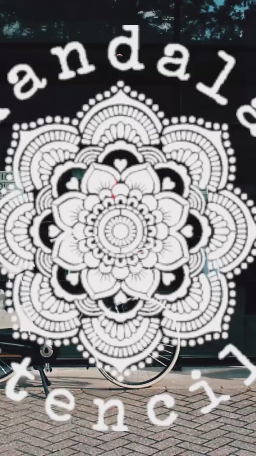 Load video: Holy Mandala - XL Mandala Stencil - 184 cm